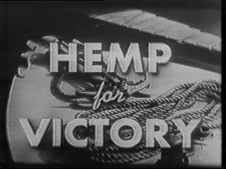 hemp4vic.jpg