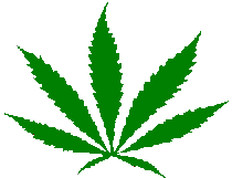 [Image: Cannabis Leaf]